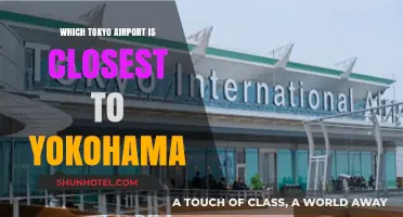 Exploring Tokyo: Which Airport is Yokohama's Nearest Neighbor?