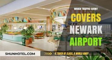 Traffic Court for Newark Airport: Where to Go?