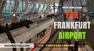 Frankfurt Airport Train Connections: Which Station to Choose?