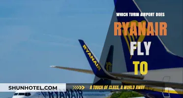 Ryanair's Turin Airport Guide: Which Hub Serves Your Italian Adventure?