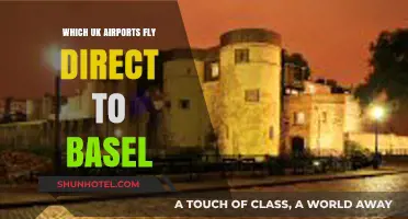 Direct UK Flights to Basel: Your Comprehensive Airport Guide