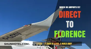 Direct UK Flights to Florence: Your Airport Guide