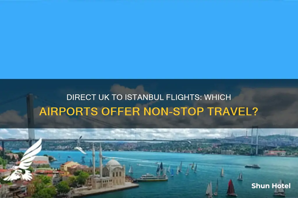 which uk airports fly direct to istanbul