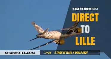 Direct UK Flights to Lille: Your Comprehensive Airport Guide