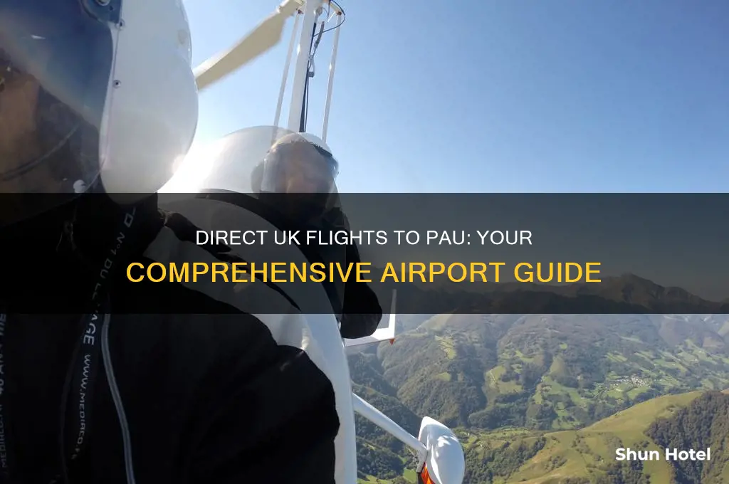 which uk airports fly direct to pau