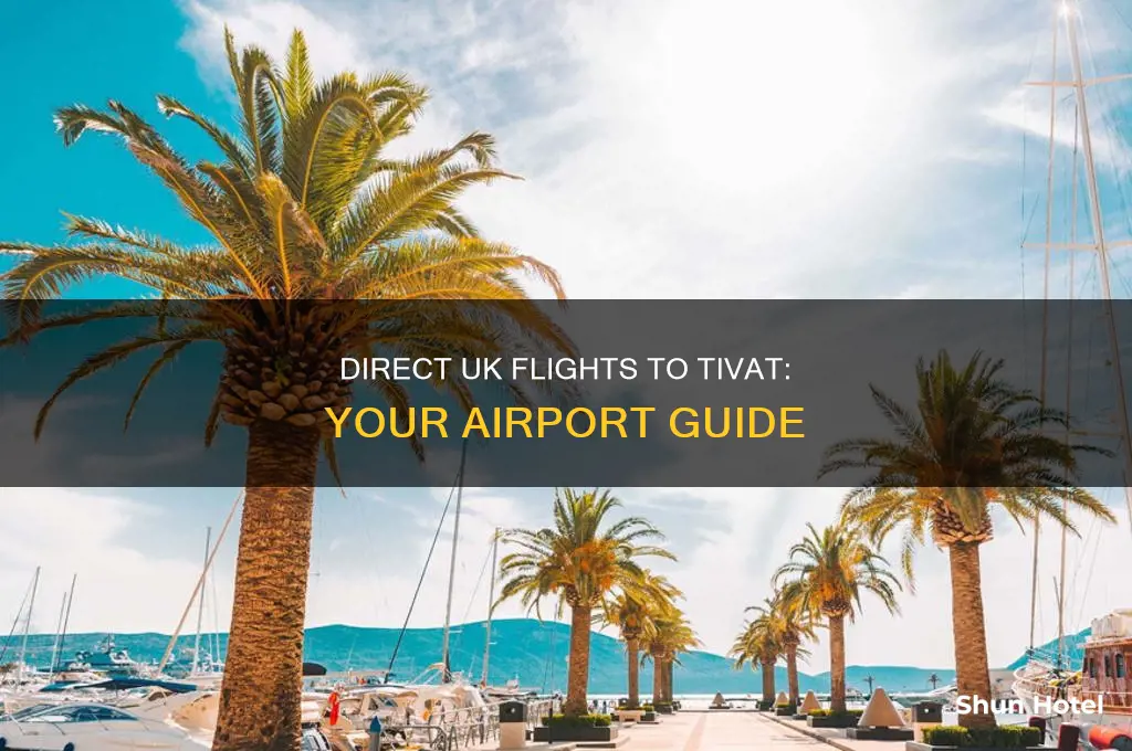 which uk airports fly direct to tivat