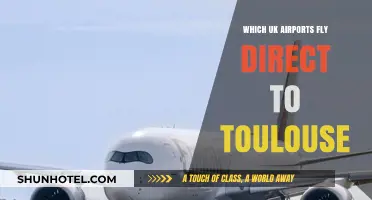 Direct UK Flights to Toulouse: Your Airport Guide