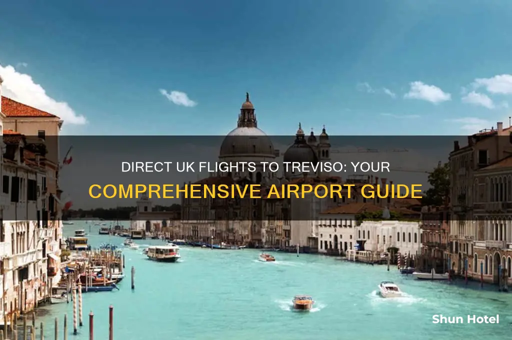 which uk airports fly direct to treviso