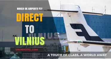 Direct UK Flights to Vilnius: Your Comprehensive Airport Guide