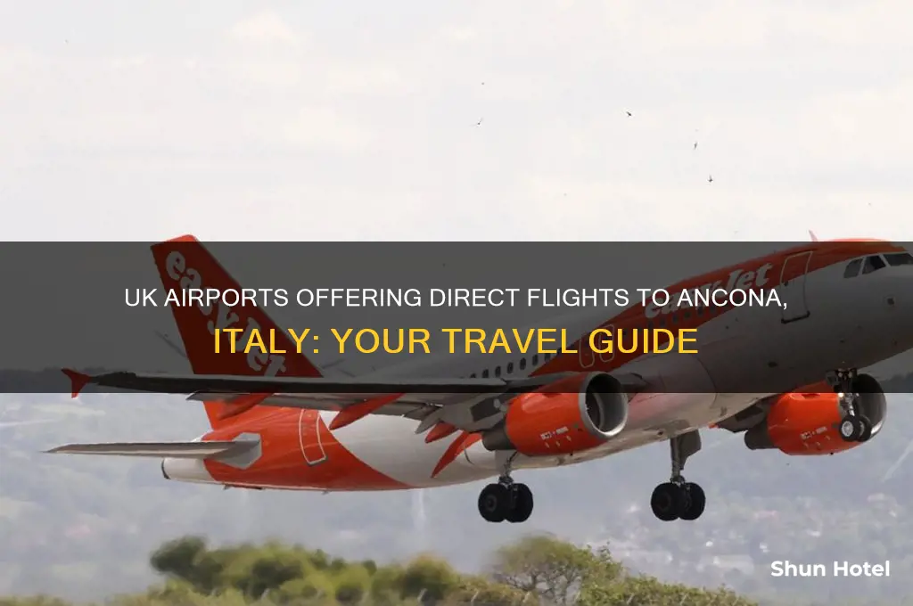 which uk airports fly to ancona
