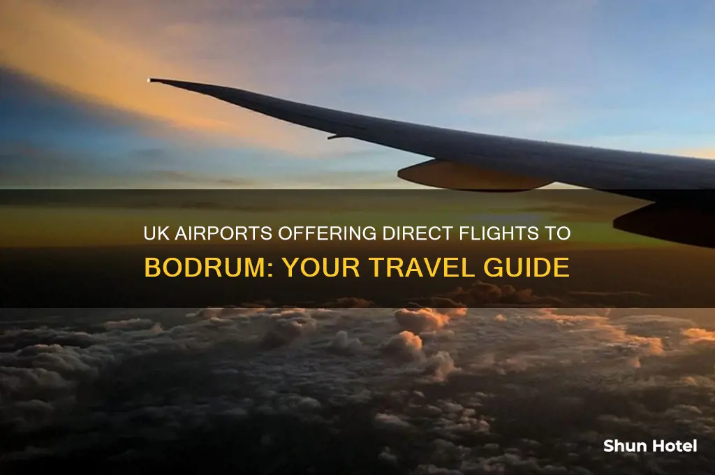 which uk airports fly to bodrum