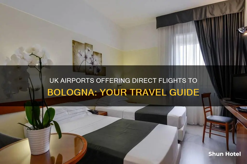 which uk airports fly to bologna
