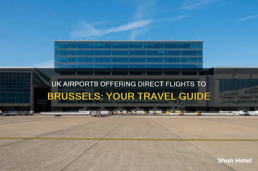 which uk airports fly to brussels
