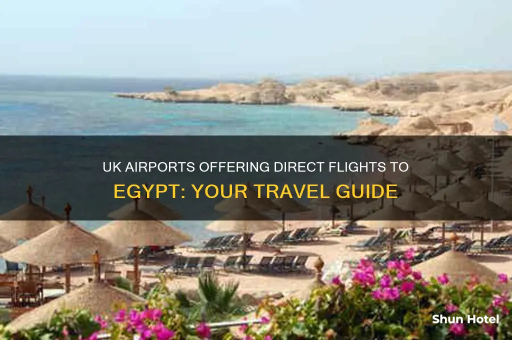 which uk airports fly to egypt