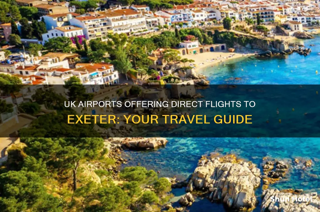 which uk airports fly to exeter