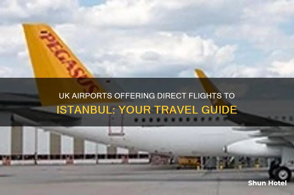 which uk airports fly to istanbul