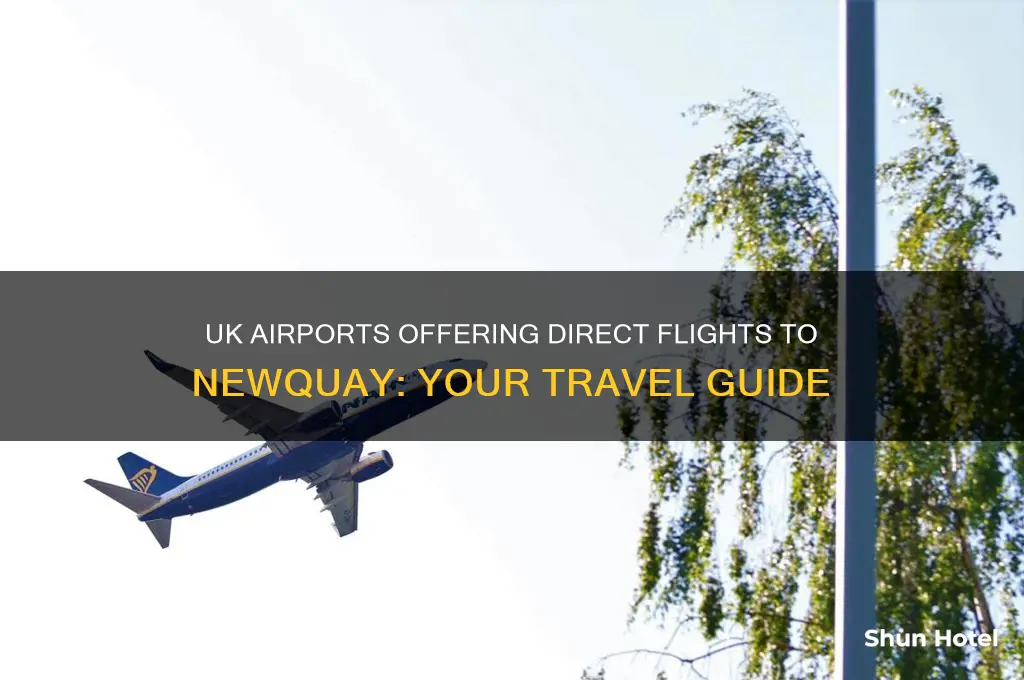 which uk airports fly to newquay