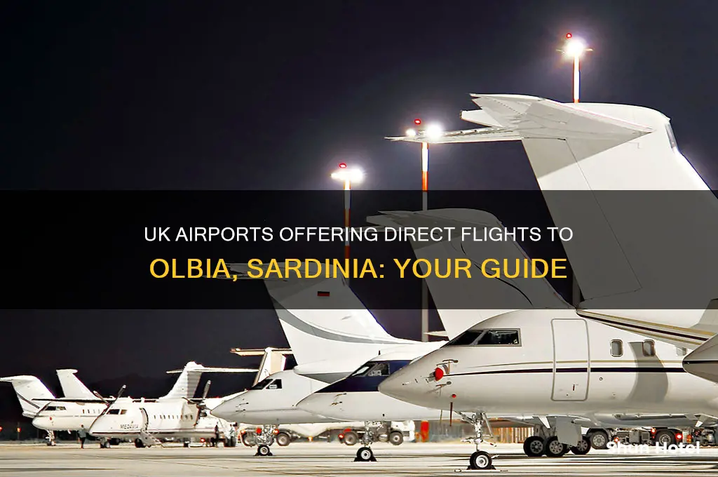 which uk airports fly to olbia sardinia