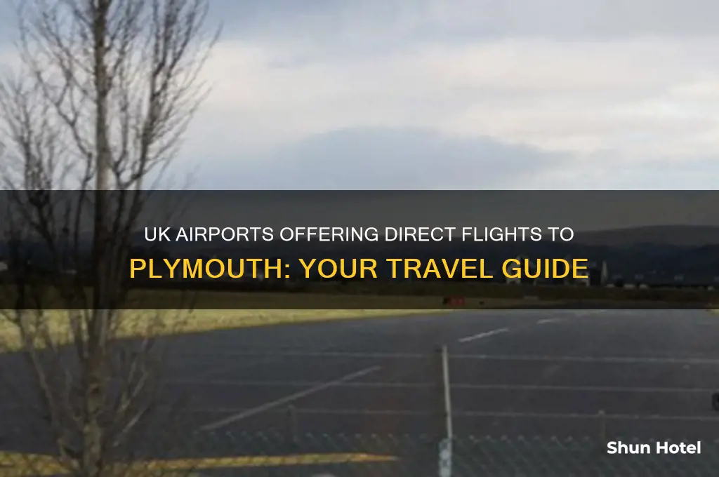 which uk airports fly to plymouth