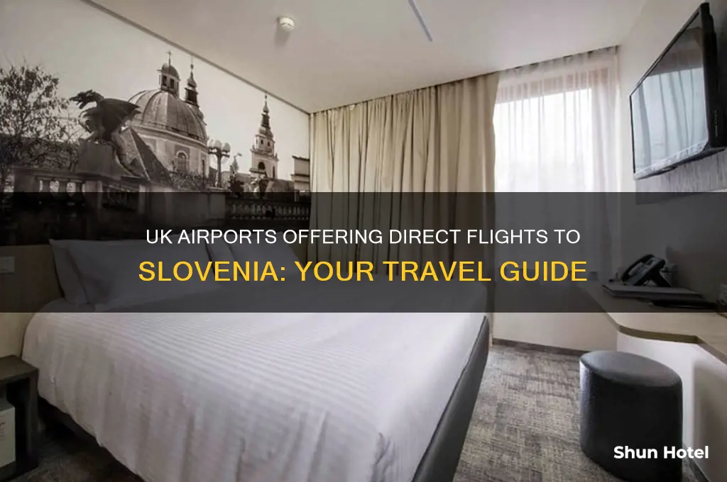 which uk airports fly to slovenia