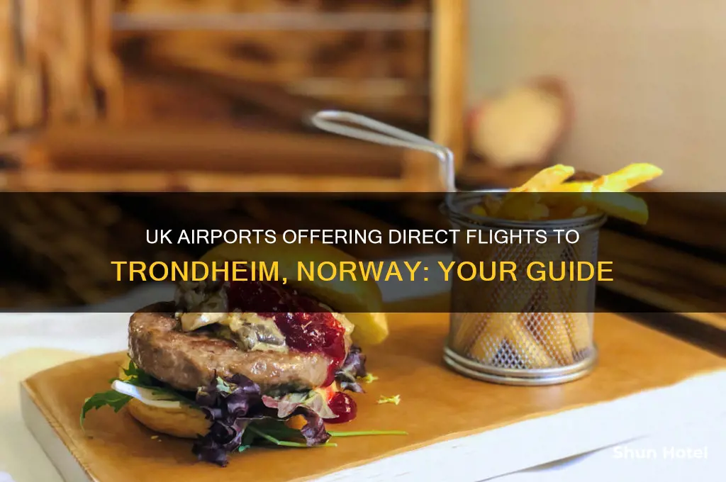 which uk airports fly to trondheim