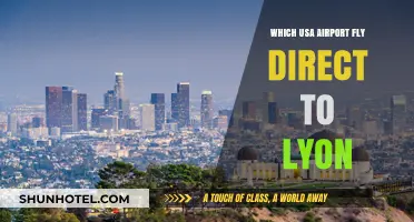 Direct Flights to Lyon: Which US Airports Offer Nonstop Service?