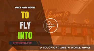 Best Vegas Airport Guide: Which Hub to Choose for Your Trip