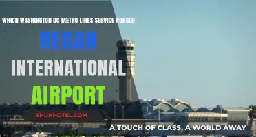 Navigating D.C.: Metro Lines Connecting to Reagan International Airport