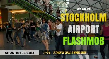 Stockholm Airport Flashmob: Who Are These Performers?