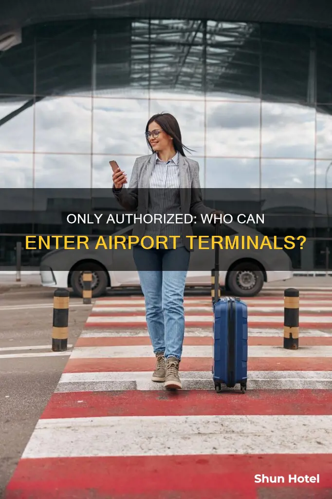 who can be at the airport terminal
