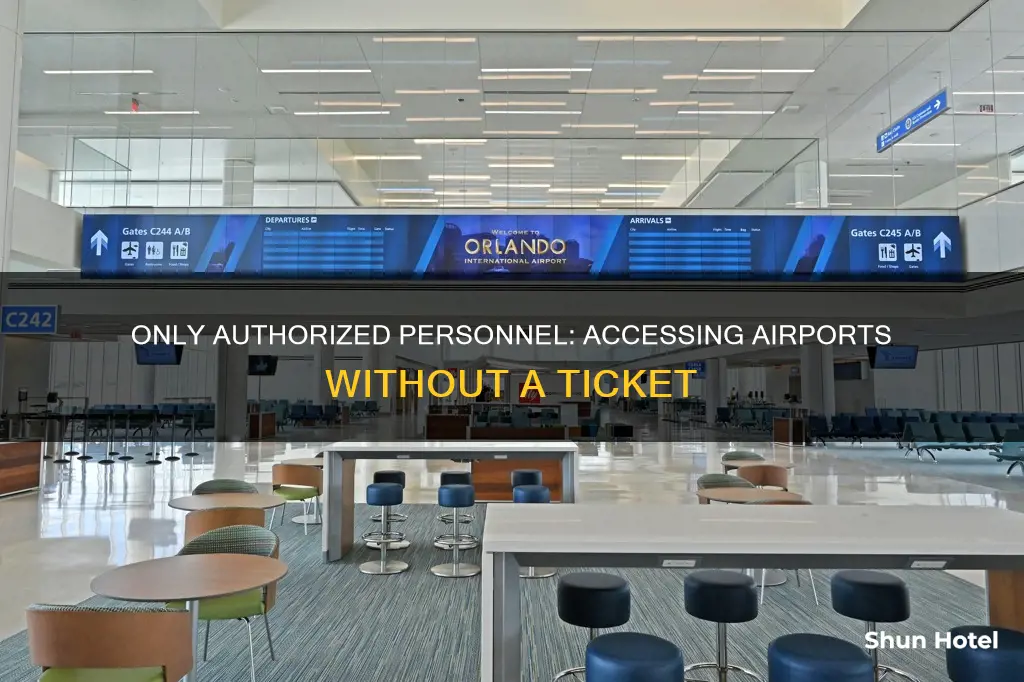 who can enter airport without ticket