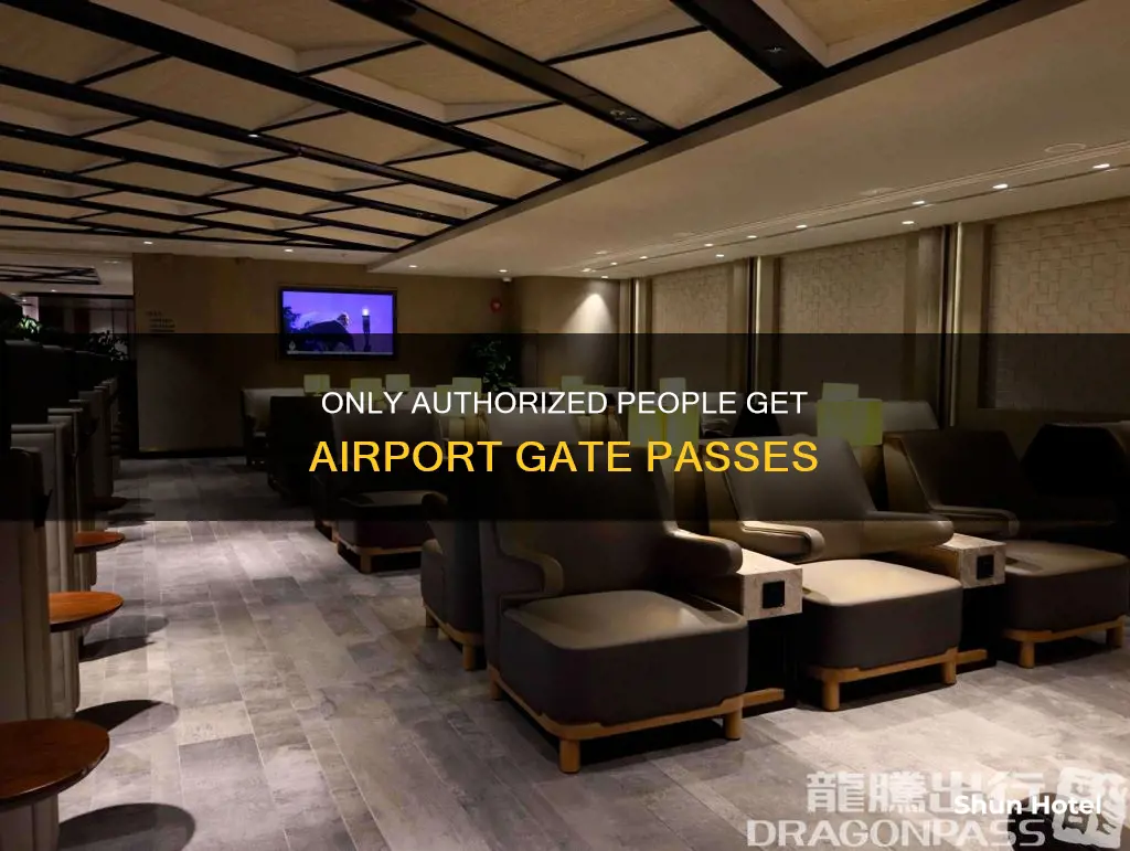 who can get a gate pass at the airport
