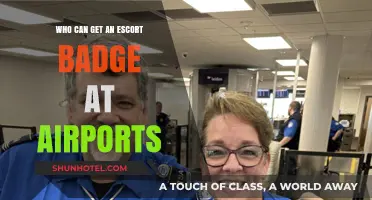 VIP Treatment: Airport Escort Badges for the Rich and Famous