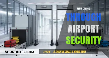 Airport Security: Who Can Gain Access?