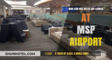 Access to Delta Sky Lounge: Who Can Use It?