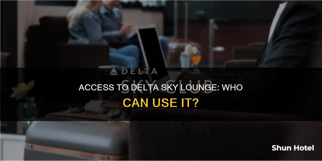 who can use delta sky lounge at msp airport