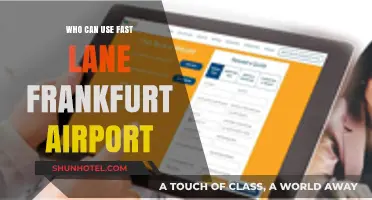 Fast Lane Access: Frankfurt Airport's Exclusive Service