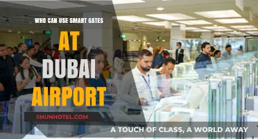 Dubai Airport Smart Gates: Who Can Use Them?