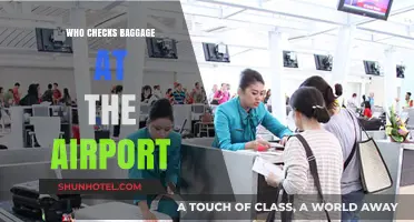 Baggage Check: Who's Responsible?