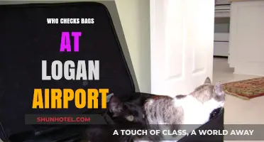 Bag Check: Who's Responsible at Logan Airport?