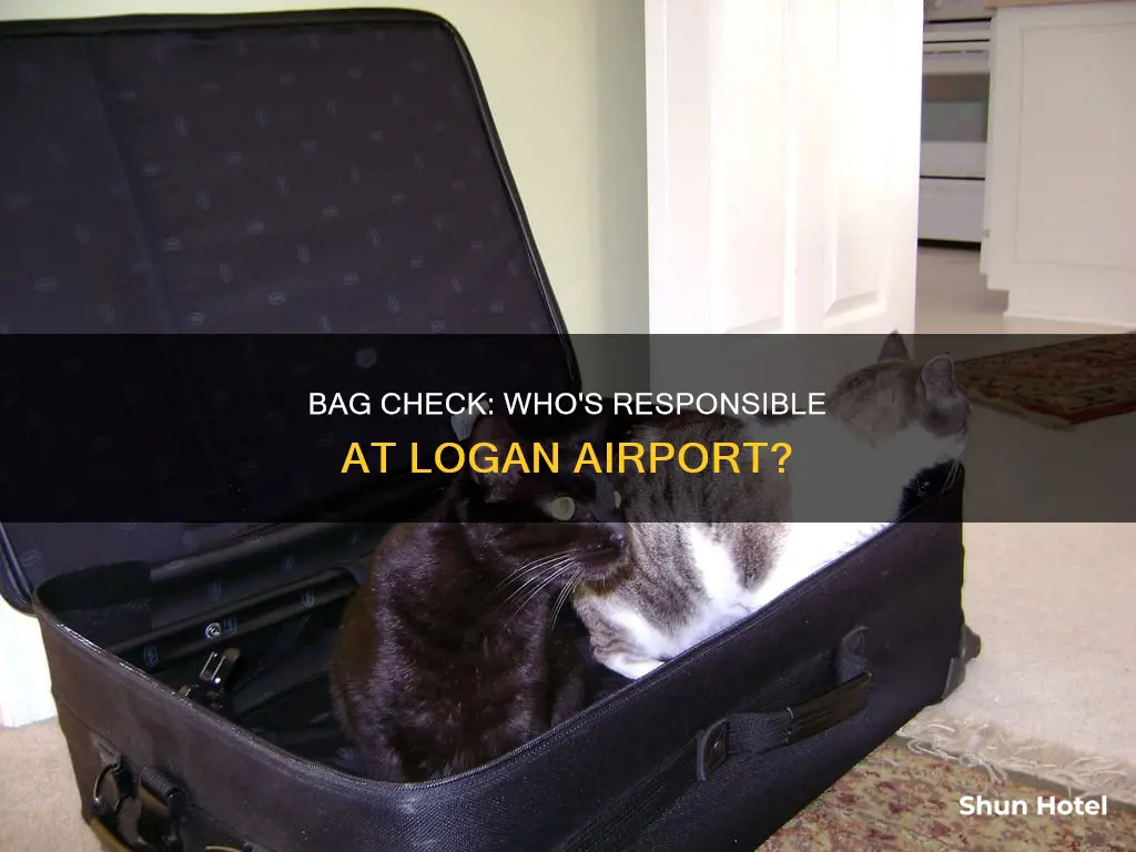 who checks bags at logan airport