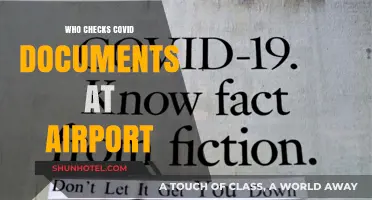 Covid Document Checks: Who Monitors at Airports?