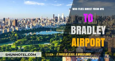 Direct Flights from NYC to Bradley Airport: Your Airline Options