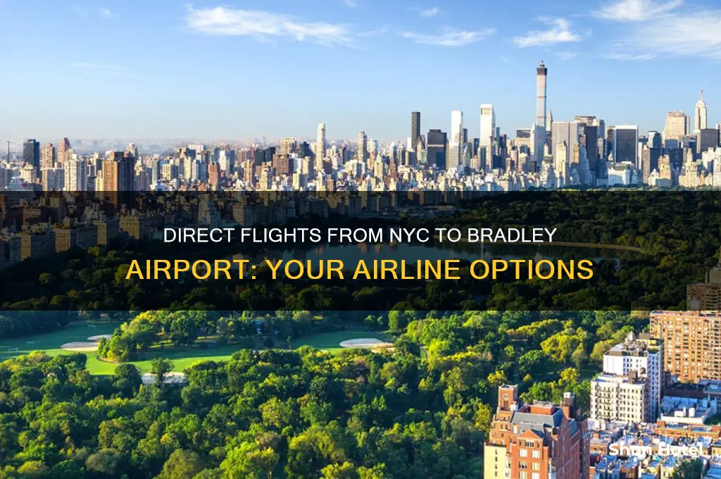 who flies direct from nyc to bradley airport