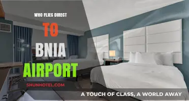 Direct Flights to BNIA: Airlines and Routes Explained