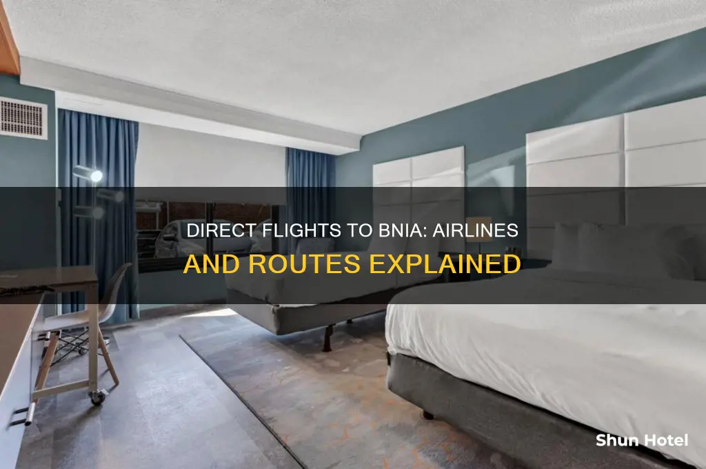 who flies direct to bnia airport