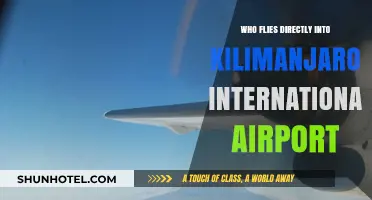 Direct Flights to Kilimanjaro International Airport: Airlines and Routes