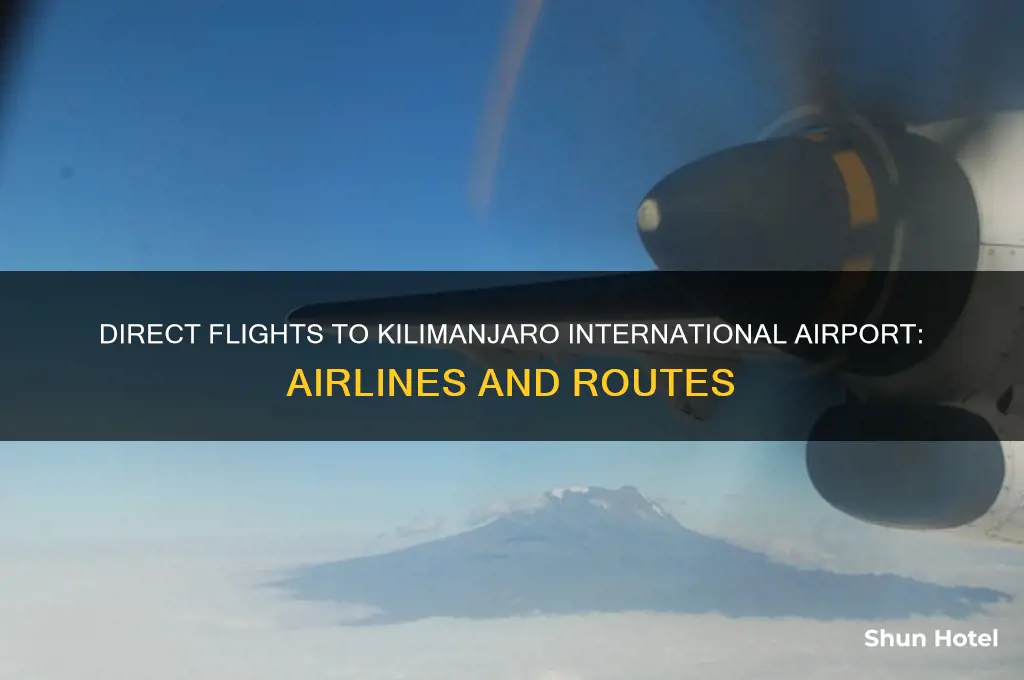 who flies directly into kilimanjaro international airport