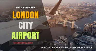 Dublin to London City Airport: Airlines and Flight Options Explained