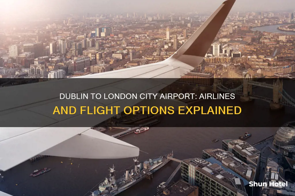 who flies dublin to london city airport